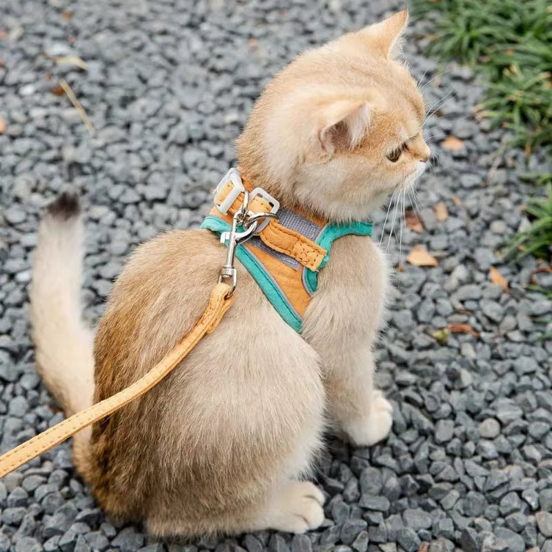 Cat Harness and Leash Set – Adjustable Vest for Comfortable Walks