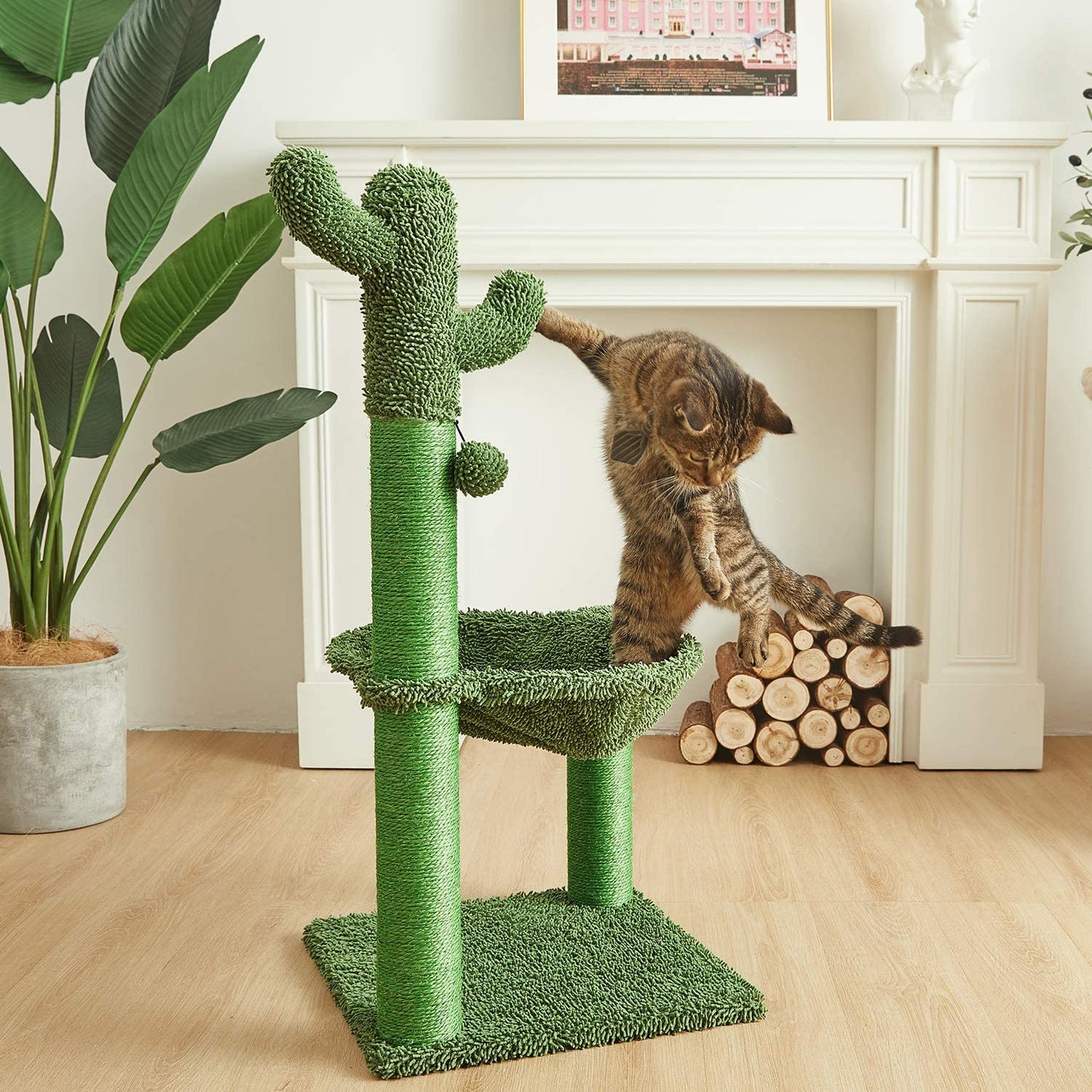 Cactus Cat Tree – Hammock & Sisal-Wrapped Scratching Post for Large Cats