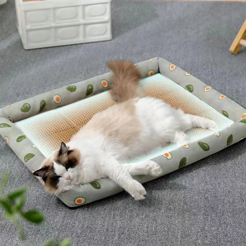 Lightweight Summer Cat Bed