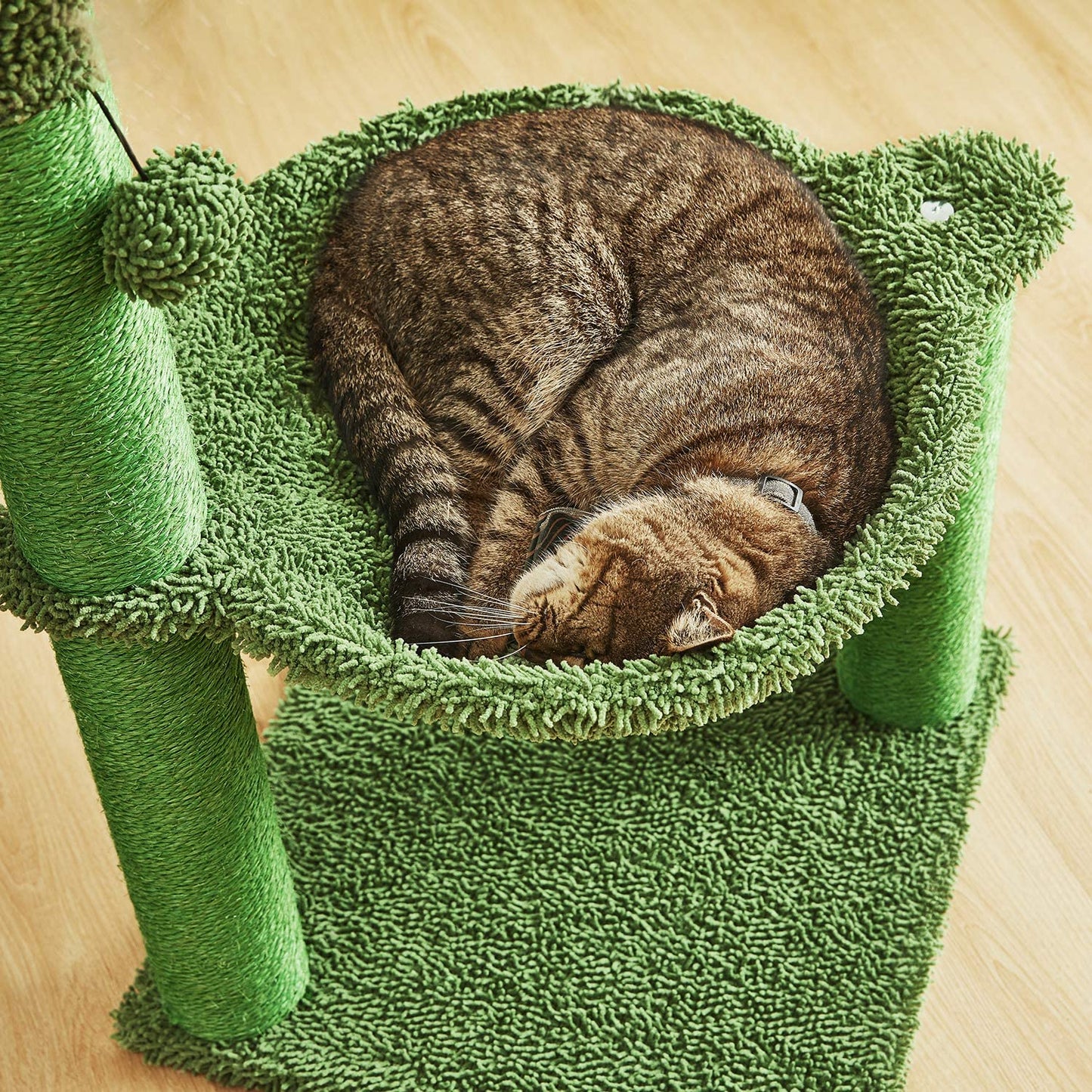 Cactus Cat Tree – Hammock & Sisal-Wrapped Scratching Post for Large Cats