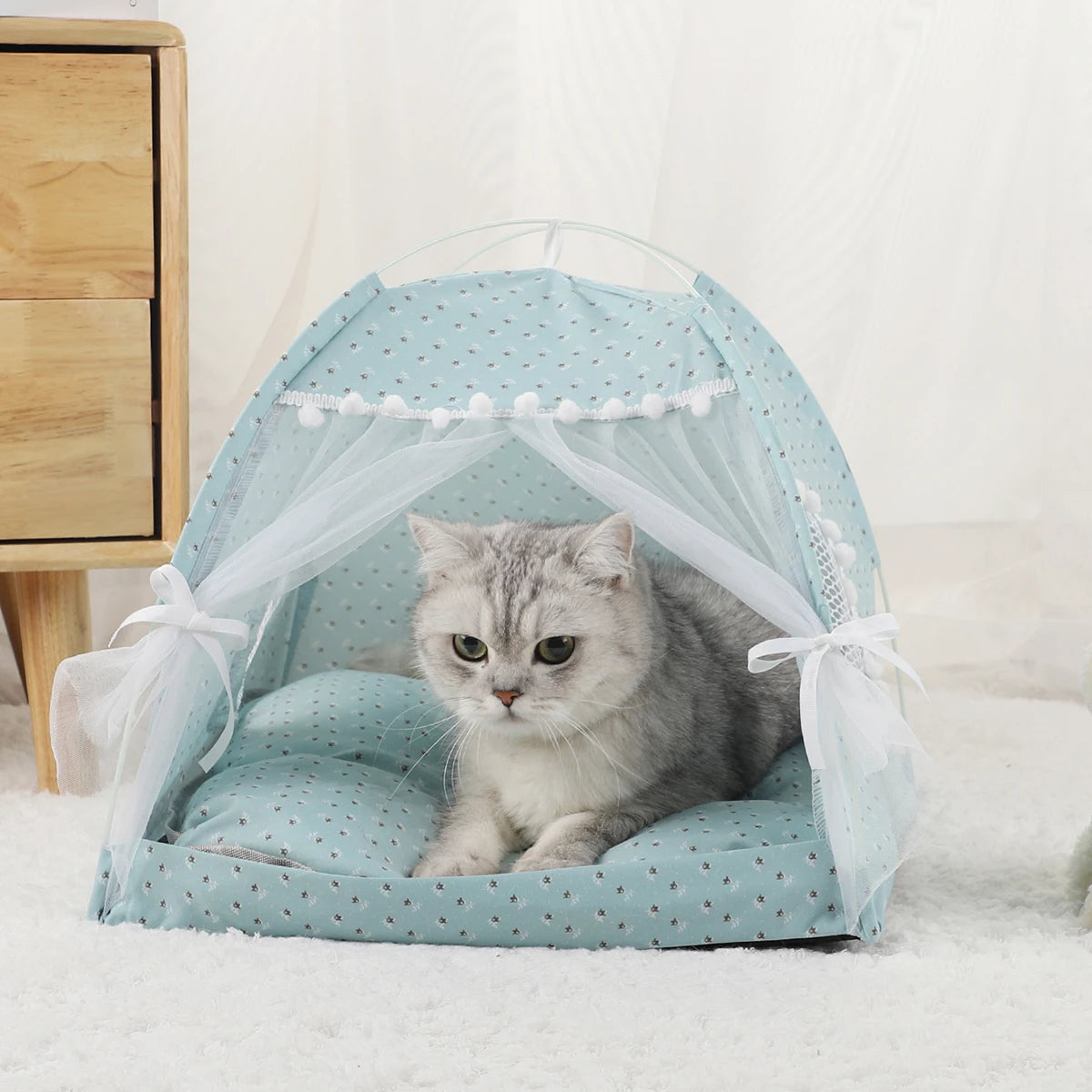 Cat Tent Bed