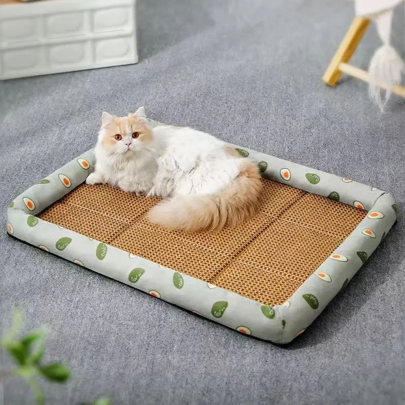 Lightweight Summer Cat Bed