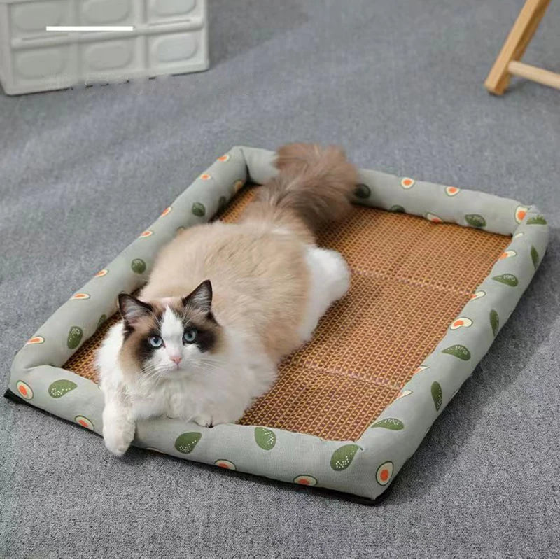 Lightweight Summer Cat Bed