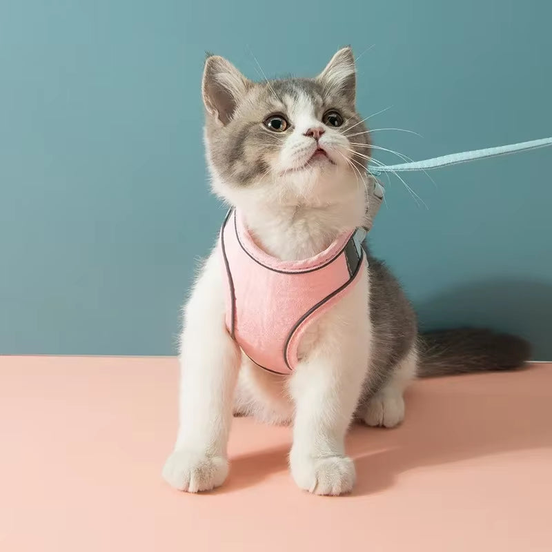 Cat Harness and Leash Set – Adjustable Vest for Comfortable Walks